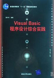 Visual Basic程序设计综合实践——21世纪计算机科学与技术实践型教程评介